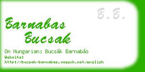 barnabas bucsak business card